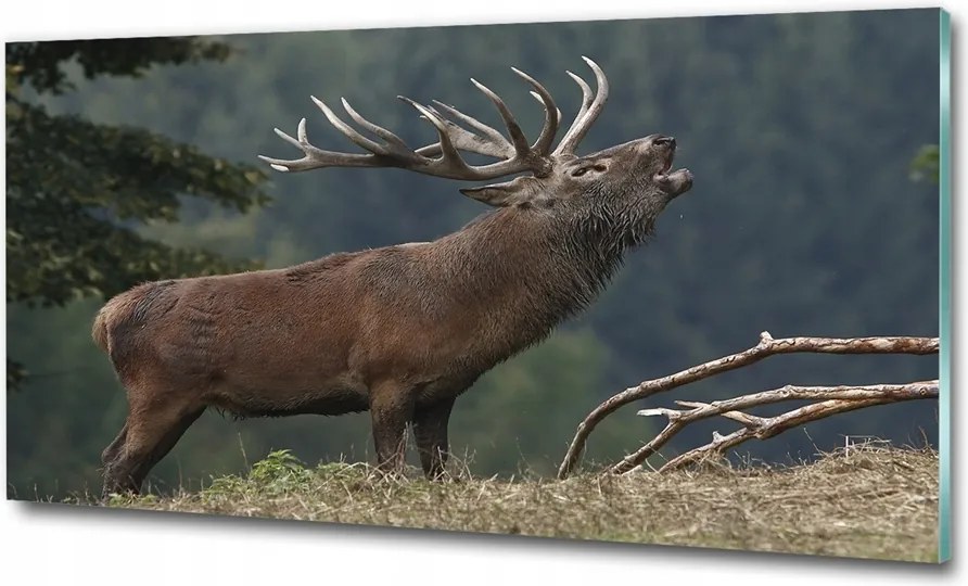 Fotó-üvegkép Szarvas a dombon 100x70