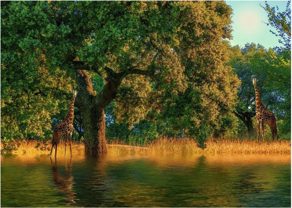 Zsiráf a természetben képe (üvegen) (70x50 cm)