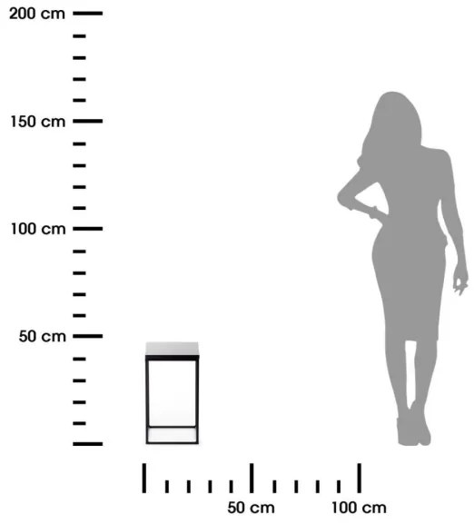 BASICLOFT virágtartó állvány 40x24 cm fekete