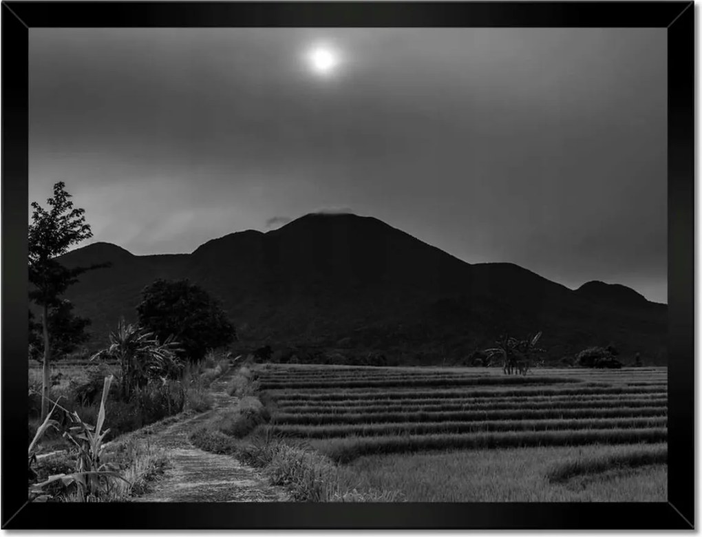 Poszterek keretben 40x30 Kilátás a rizsföldekre