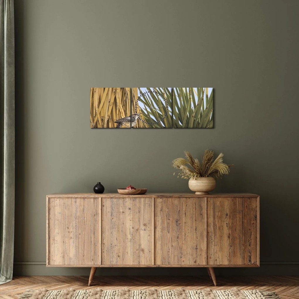 Kép - Ökörszem (órával) (90x30 cm)