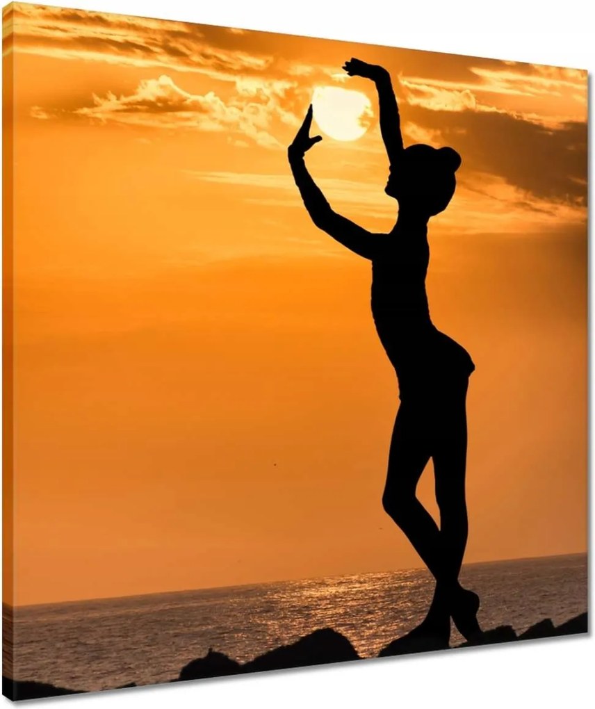 Vászonkép 50x50 Balett balerina tánc