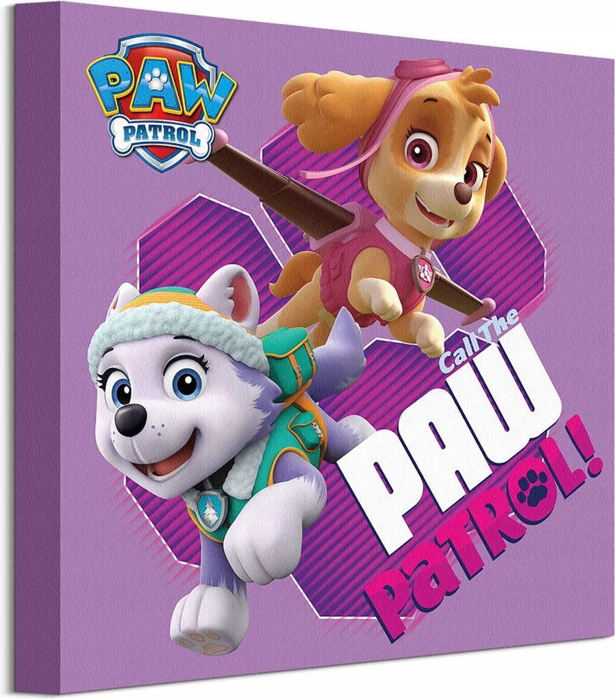 Mancs Őrjárat Everest Eve és Skye vászonkép 30x30 cm