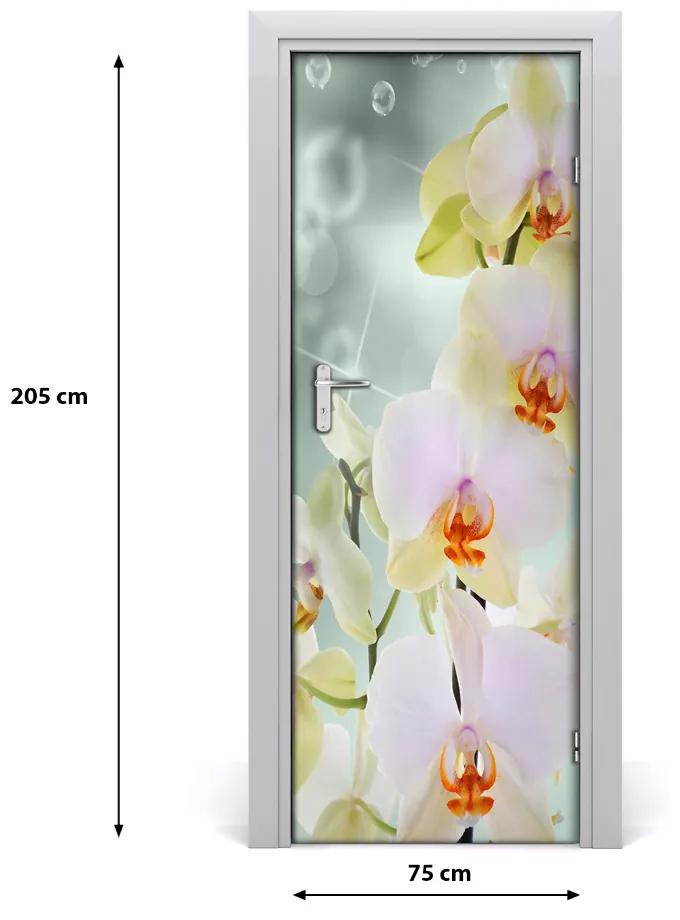 Ajtómatrica ajtó orchidea 95x205 cm