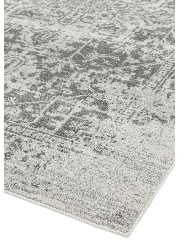 Szürke szőnyeg 200x290 cm Nova – Asiatic Carpets