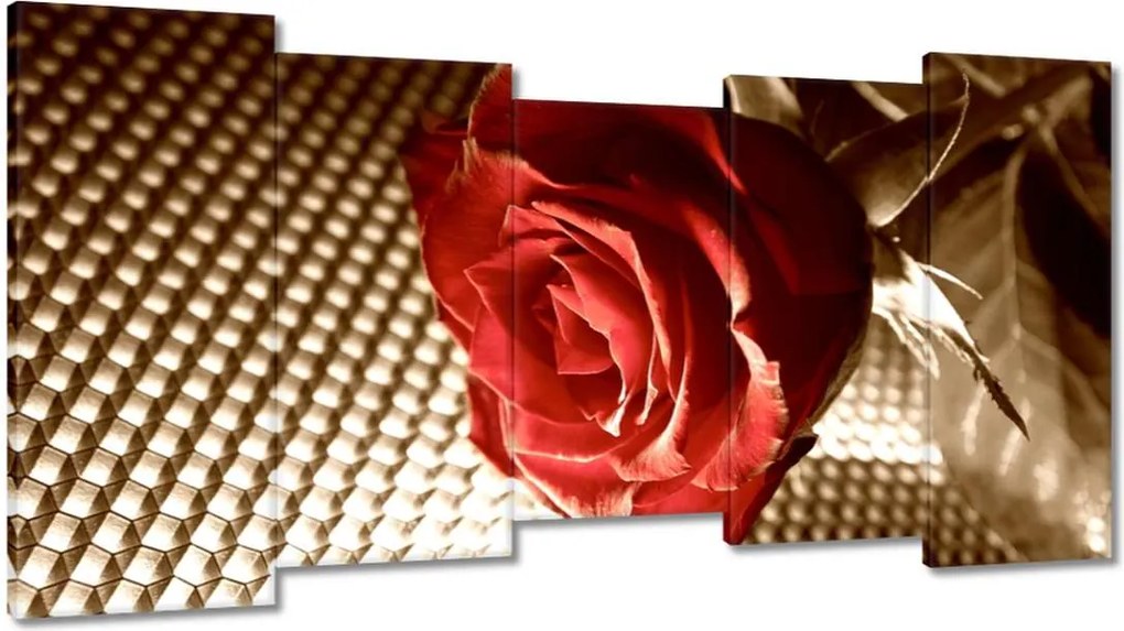 Festmények 150x80 Rózsa egy lánynak