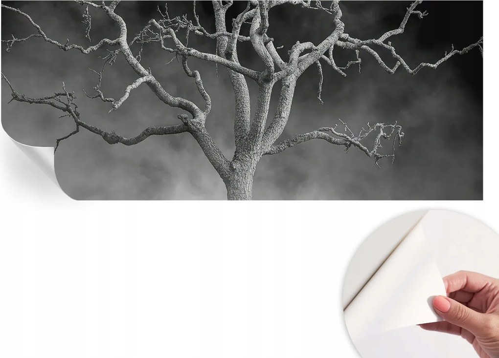 Modern öntapadós fotótapéta Mosható Ködös fa 250x104 cm