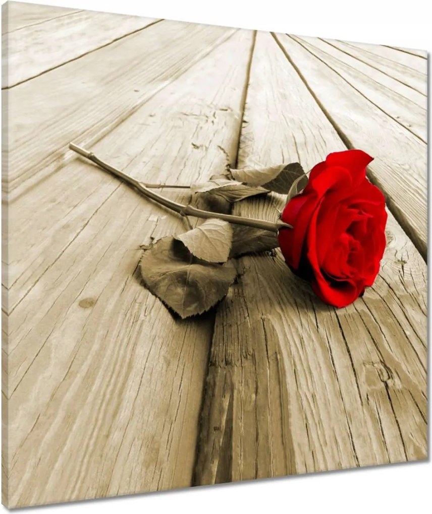 Vászonkép 60x60 Vörös rózsa a deszkákon