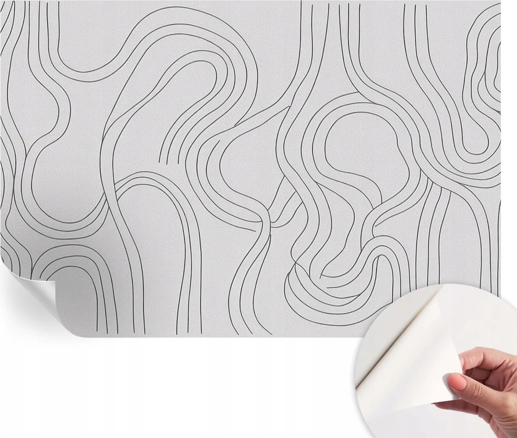 Fotótapéta Öntapadós Dekoratív tapéta Organikus vonalak 104x70 cm