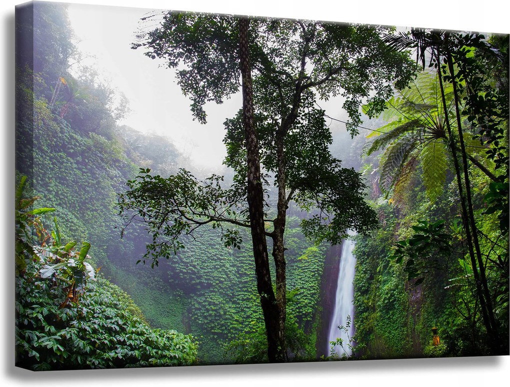 Vászonkép Természet Trópusi erdő 60x40 cm
