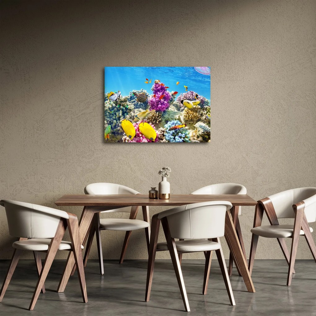 Kép - A tenger világa (70x50 cm)