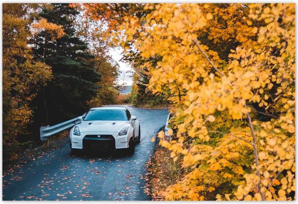 Poszterek 200x135 Autó-Motor Autók