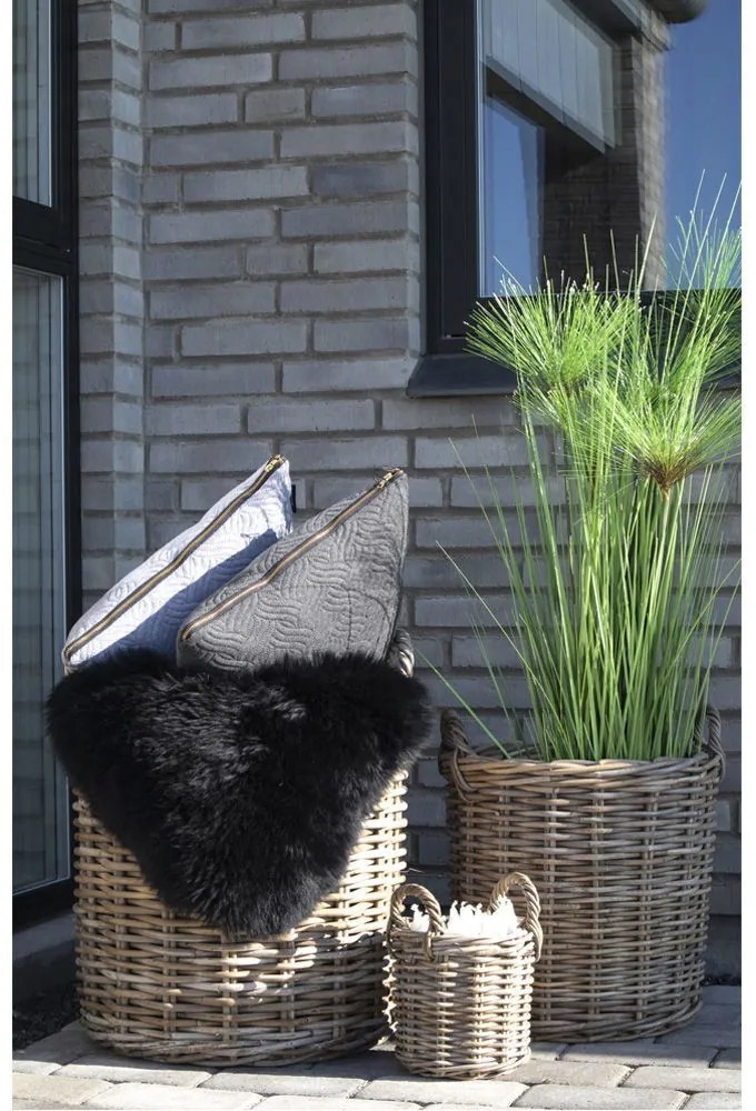 Caor kosarak, kubu rattan, natúr 4 db