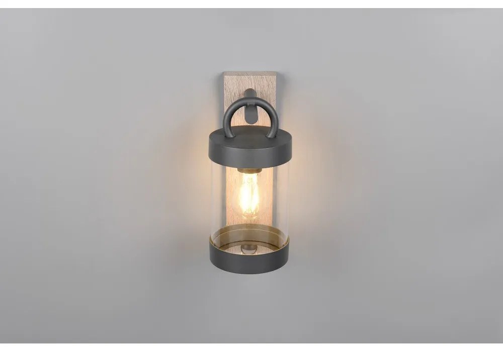 Fali kültéri lámpa (magasság 33 cm) Sambesi – Trio