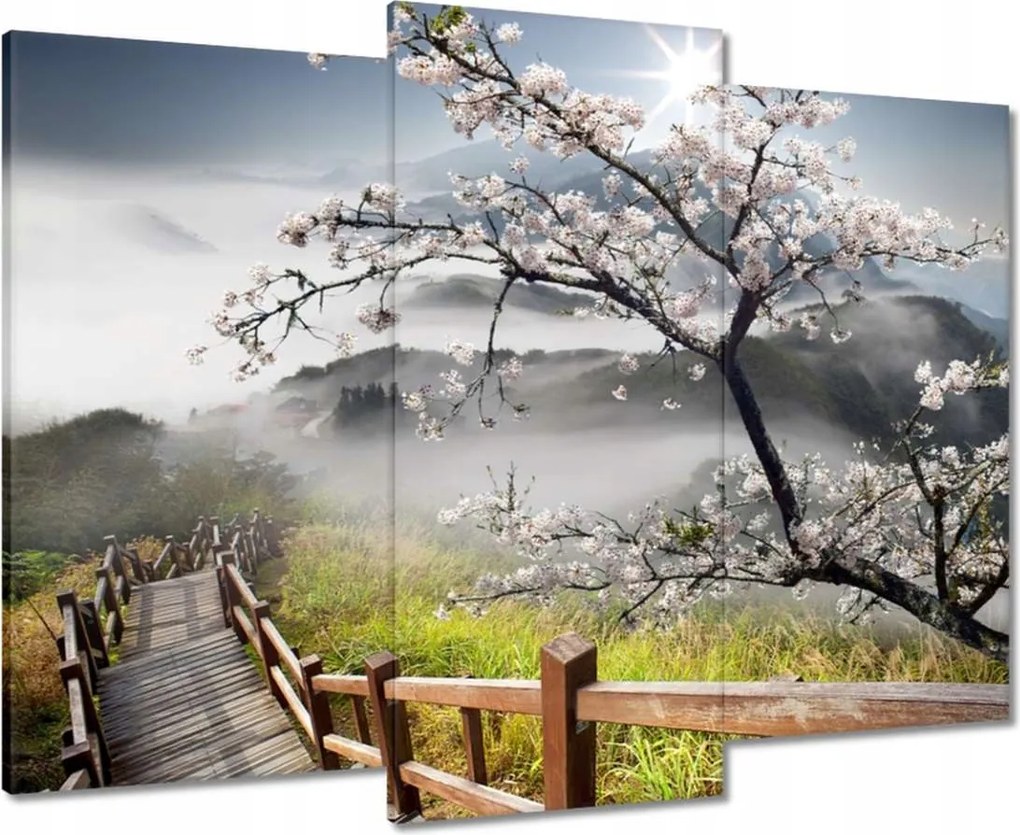 Vászonkép 90x70 Japán Virágzó cseresznye