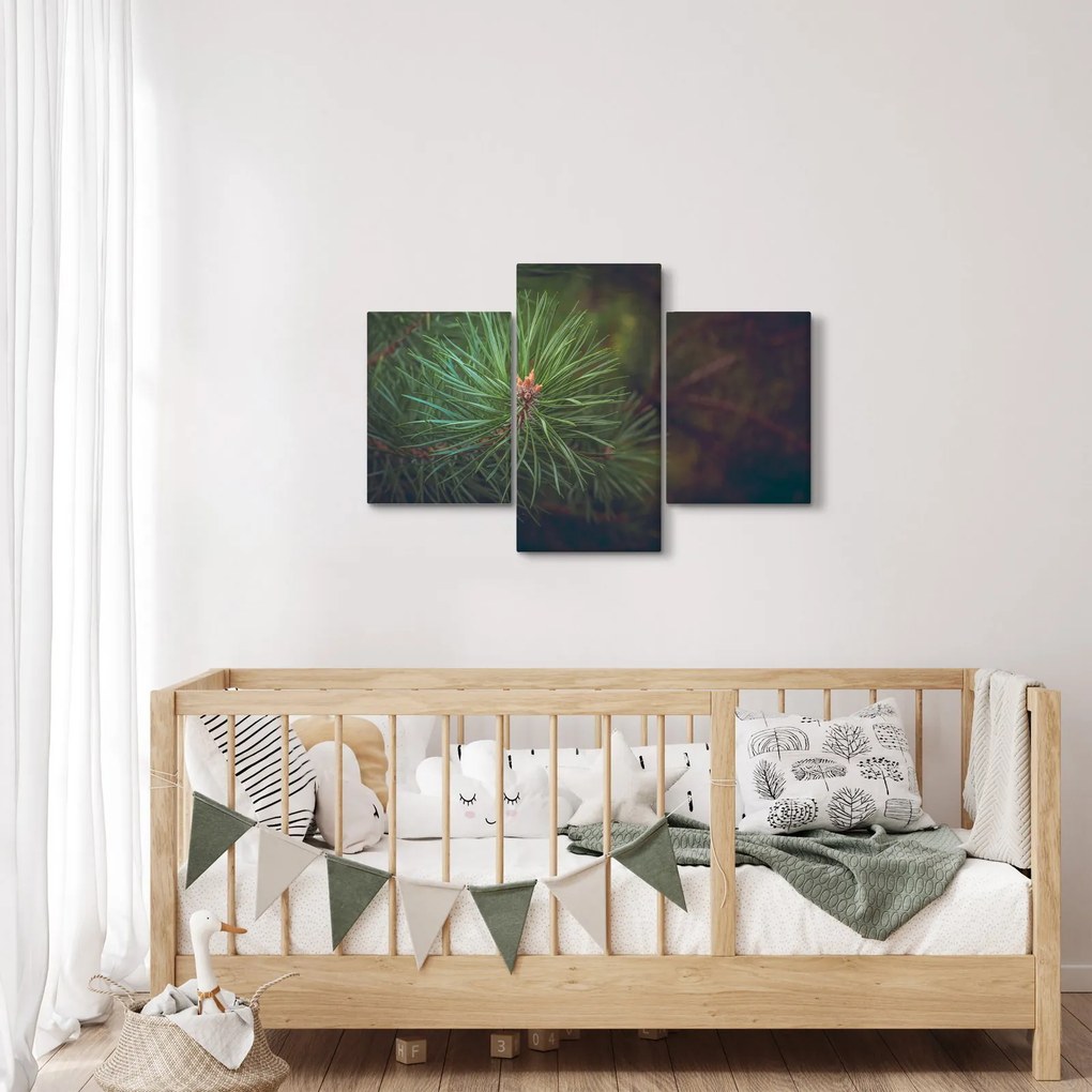 Kép - Fenyőfa részlete (90x60 cm)