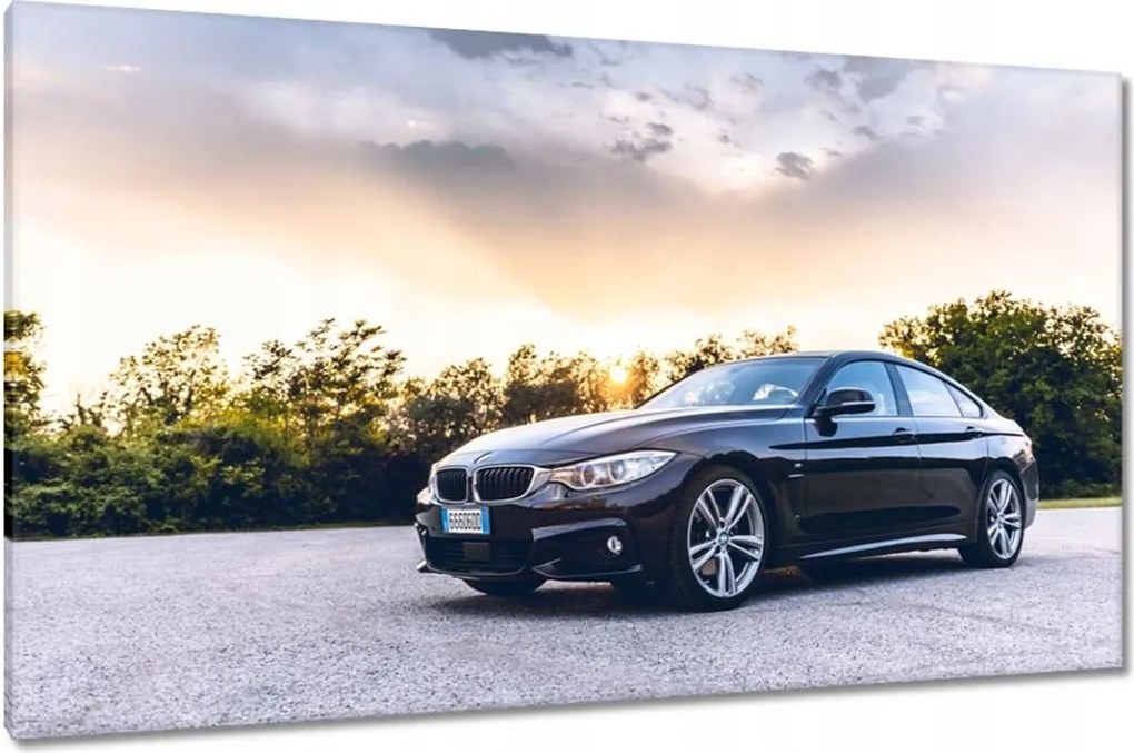 Vászonkép 120x70 Fekete Bmw