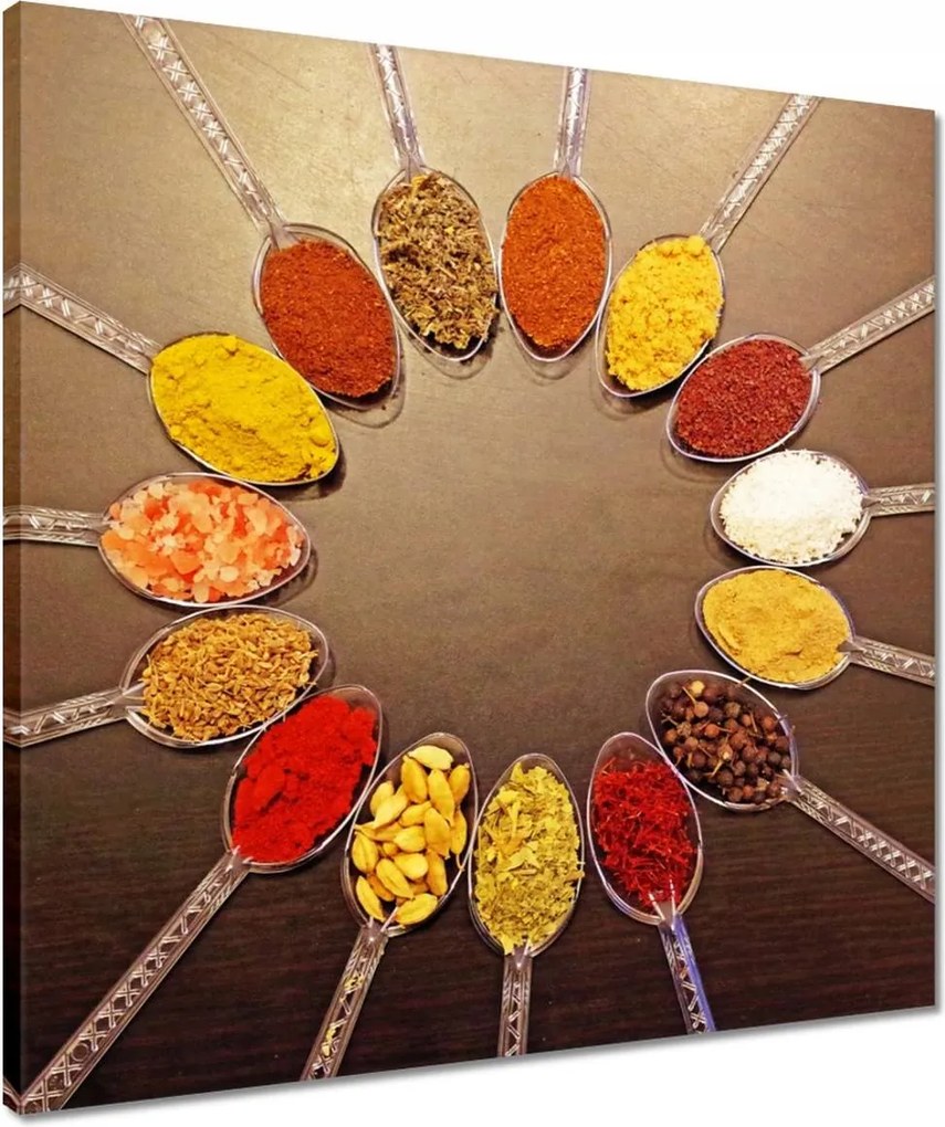 Vászonkép 50x50 Fűszerek kanálon MIX