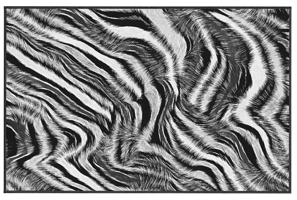 Zebra szőnyeg, 80 x 140 cm - Oyo home