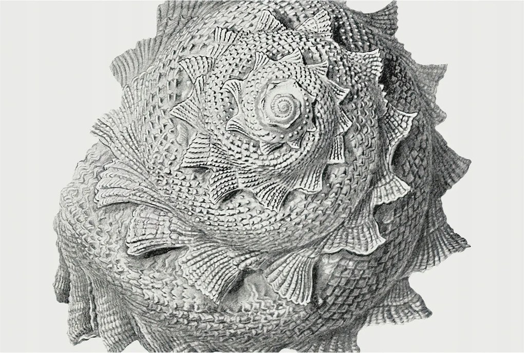 Flizelin fotótapéta Flizelin Designer A természet művészete 104x70 Ragasztó