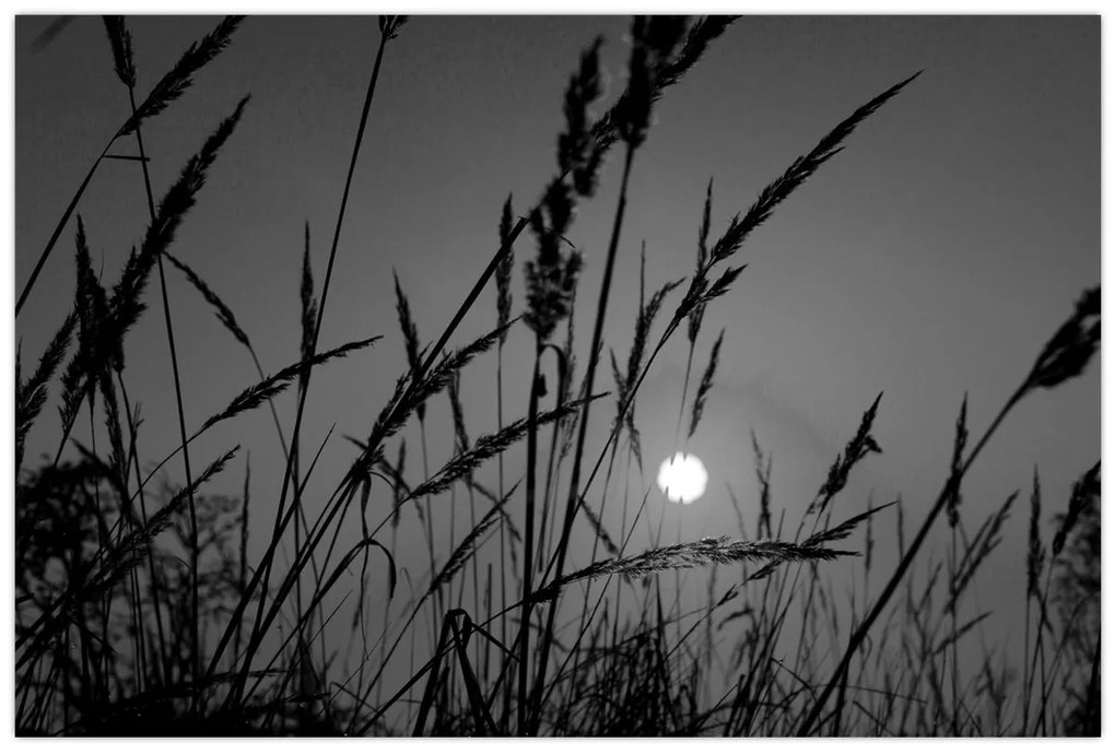 Kép - rét naplementével (90x60 cm)