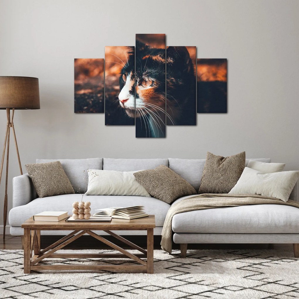 Kép - A macska látképe (150x105 cm)