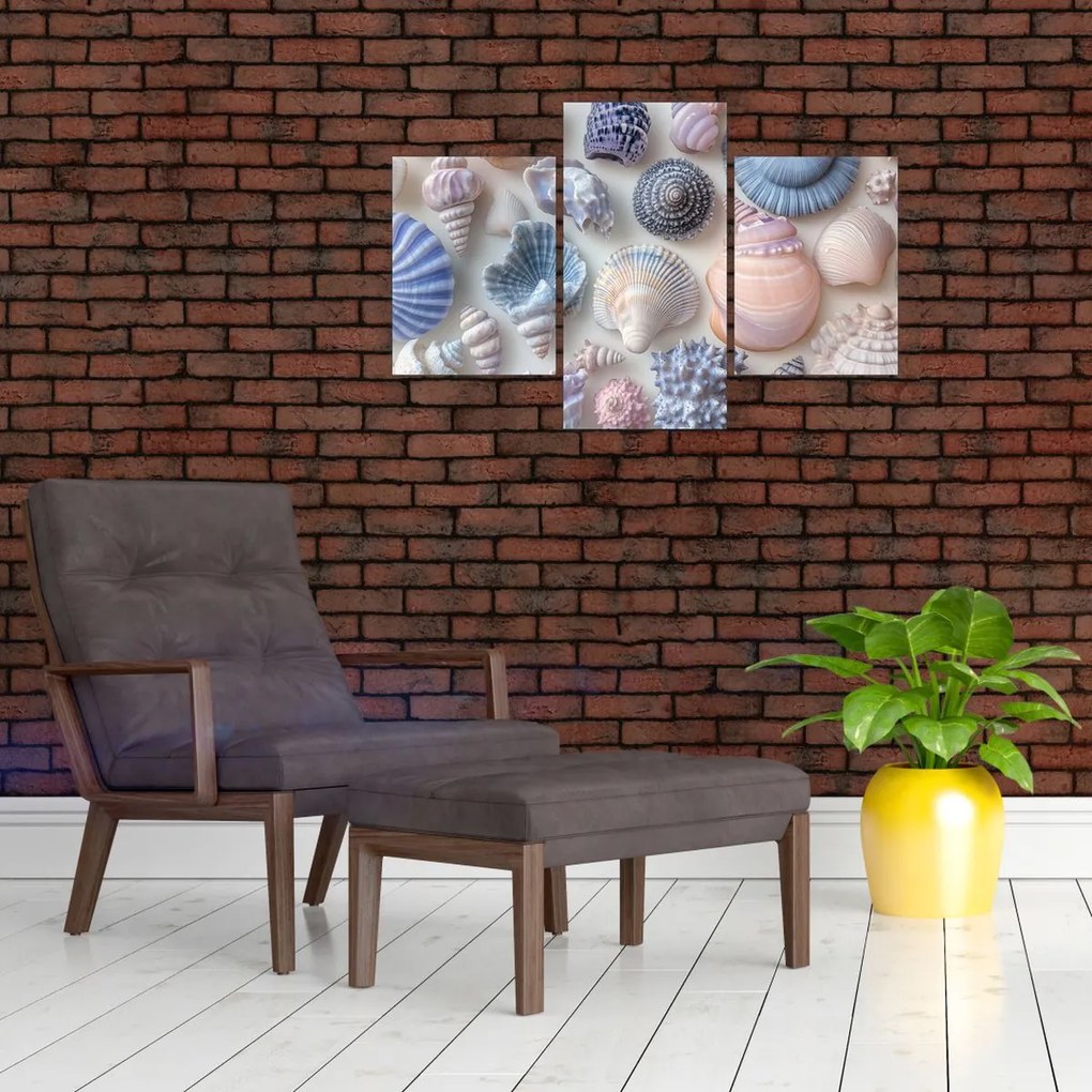 Kép - Kagylógyűjtemény (90x60 cm)