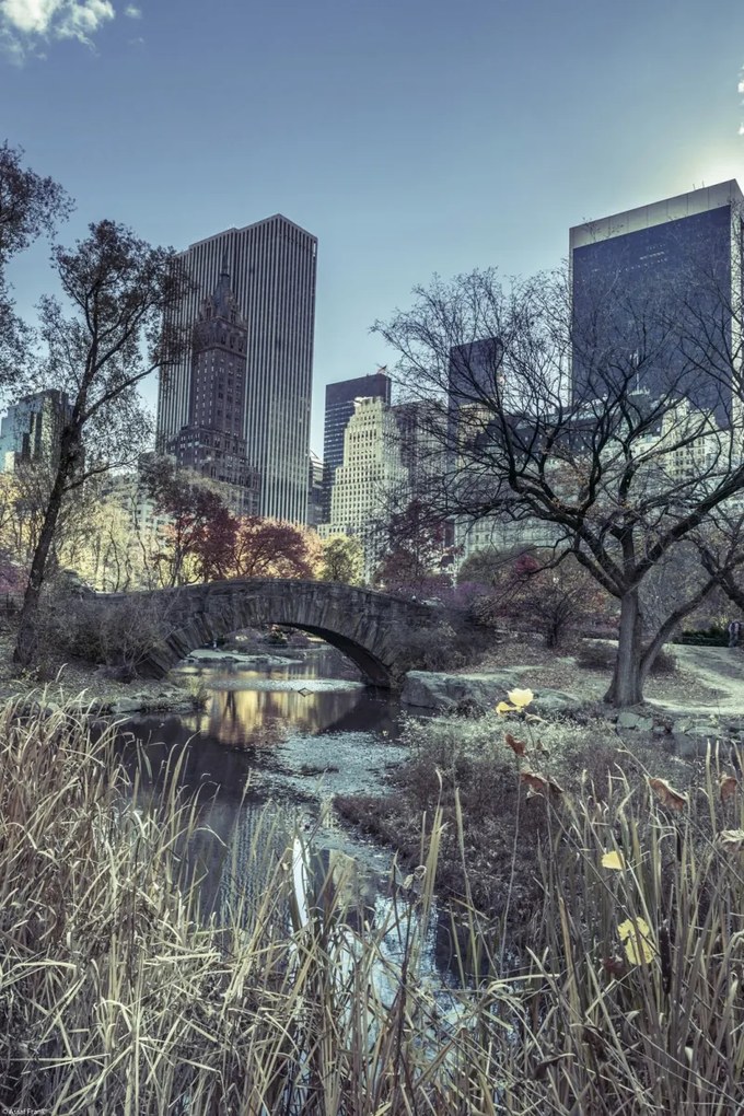 Poszter 30x45cm Kilátás a Central Park hídjára, Assaf Frank