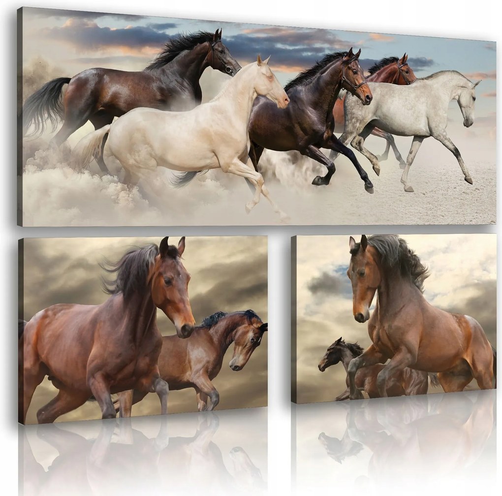 Vászonkép 80x55 Lovak tabu futás mozgás szabadság erő vadság természet sztyeppék kecsesség