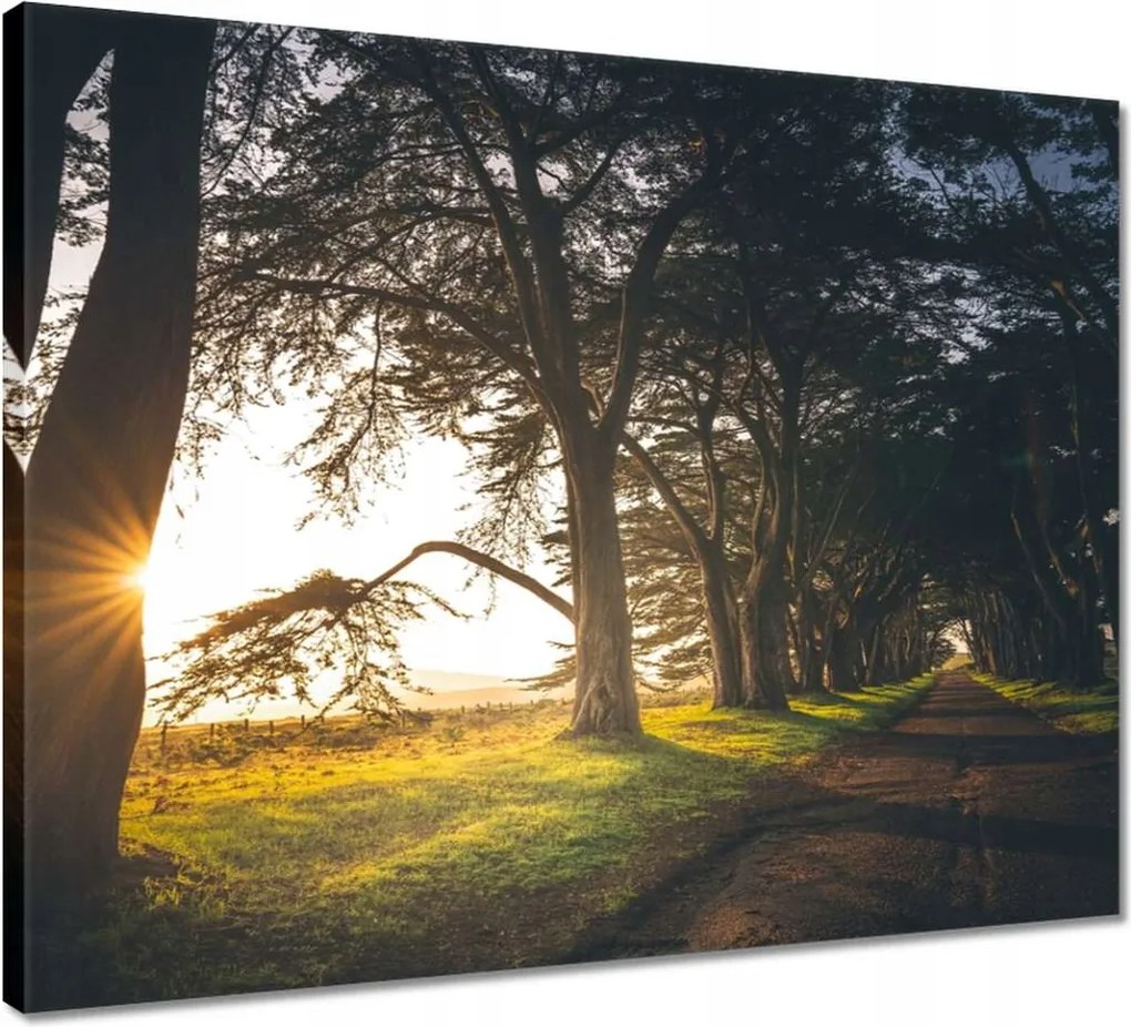 Vászonkép 50x40 Tájkép Látvány