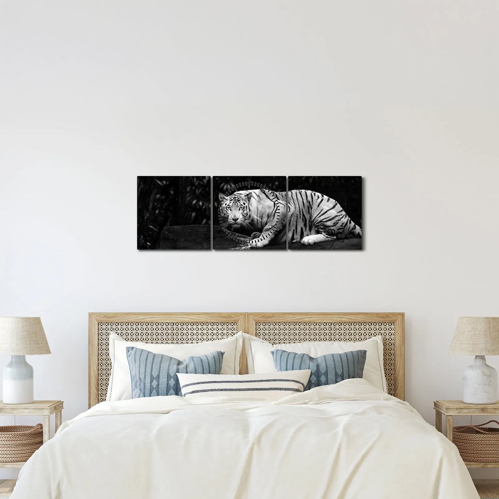 Kép - albínó tigris, fekete-fehér (órával) (90x30 cm)