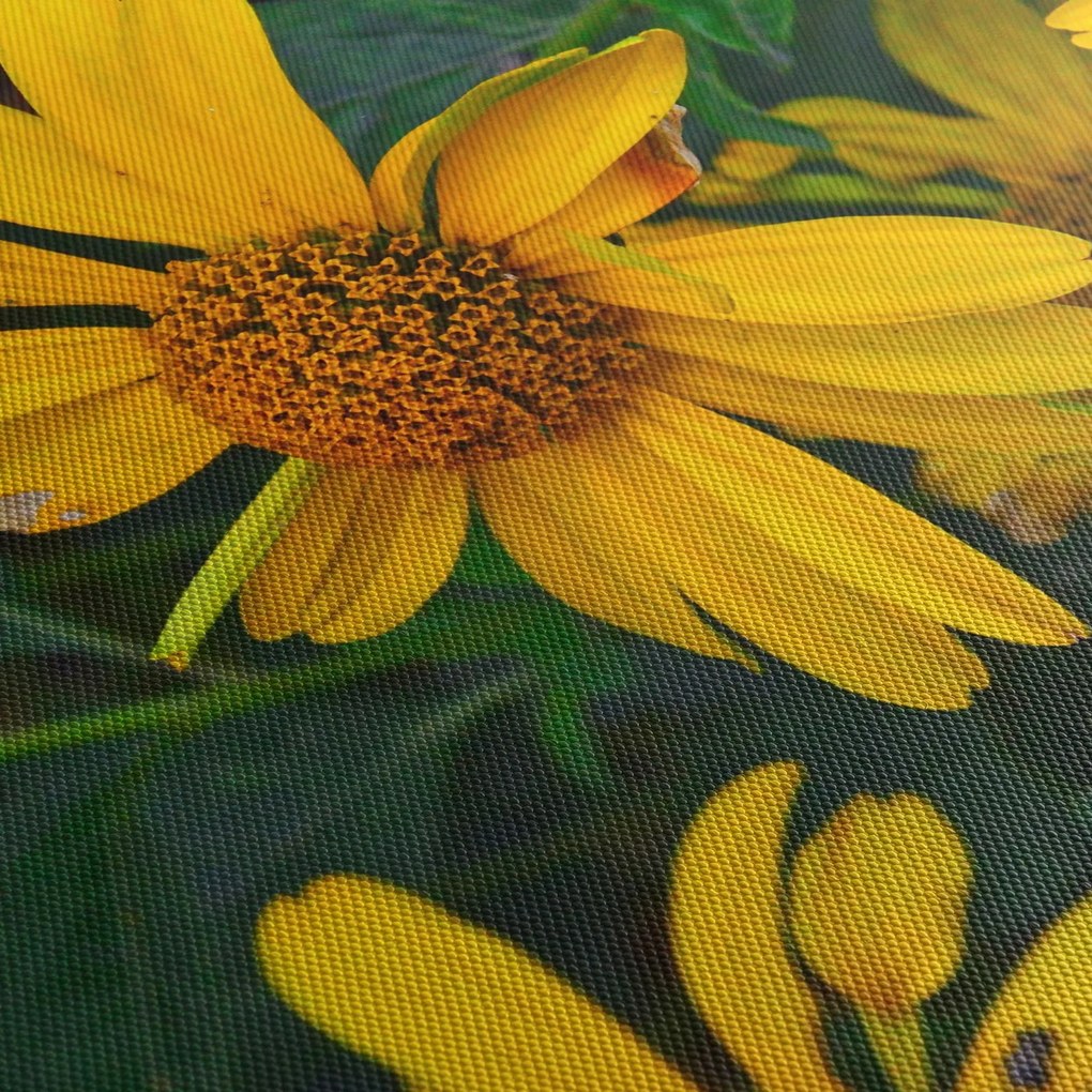 Sárga virágok képe (90x60 cm)