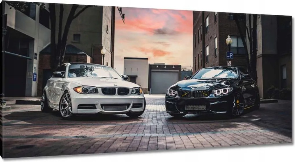 Vászonkép 115x55 Fekete-fehér nővérek 2