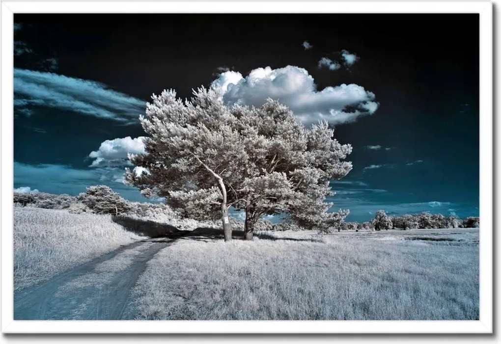 Poszterek keretben 60x40 Fa