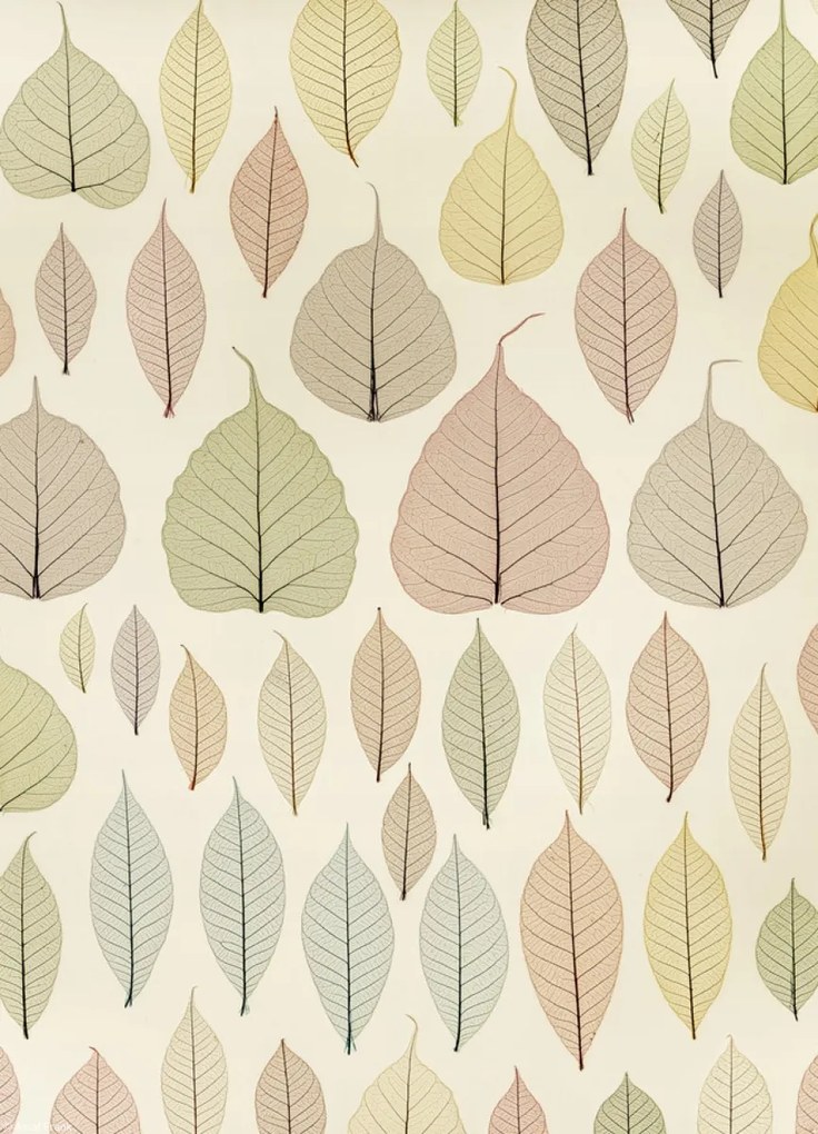 Poszter 20,5x28,4cm Csontváz levelek, Assaf Frank