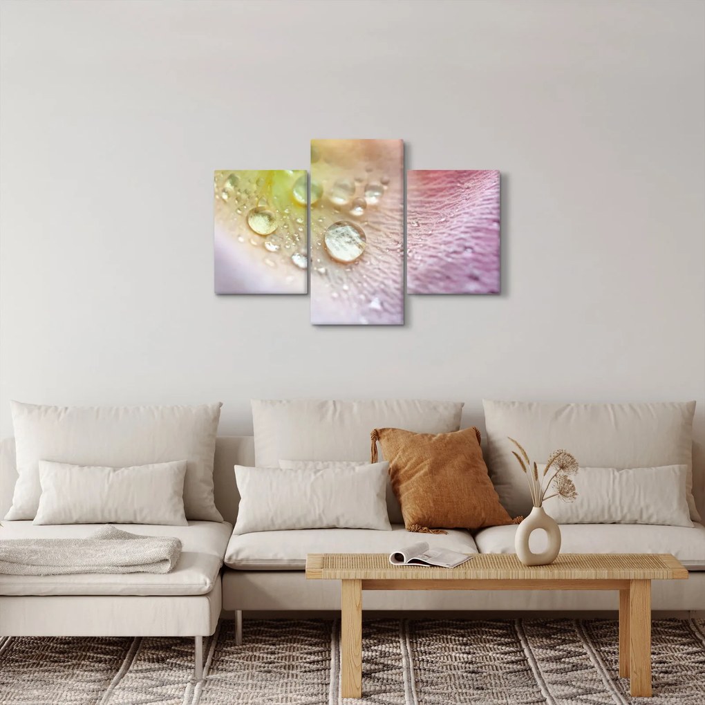 Kép - Harmatcseppek (90x60 cm)