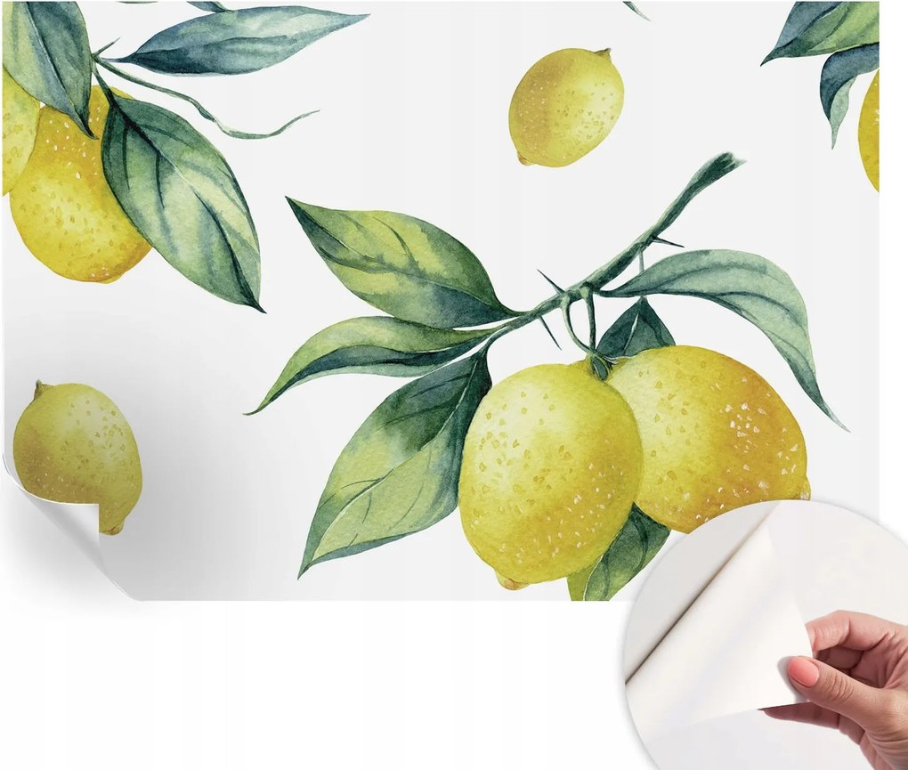 Öntapadós fotótapéta a konyhába Mosható Citrom motívum 152x104 cm