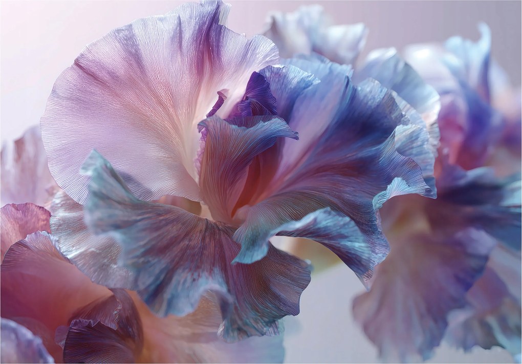 Fotótapéta Virágok Absztrakt Hálószoba Nappali Tapéta Flizelina 300x210