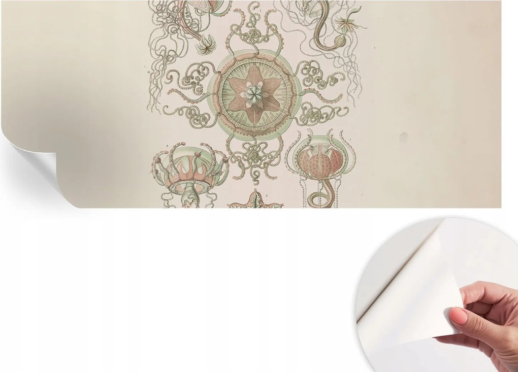 Design fali fotótapéta öntapadós víz alatti világ 250x104 cm