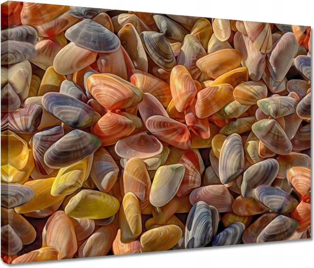 Vászonkép 40x30 Színes kagylók nyomtatás