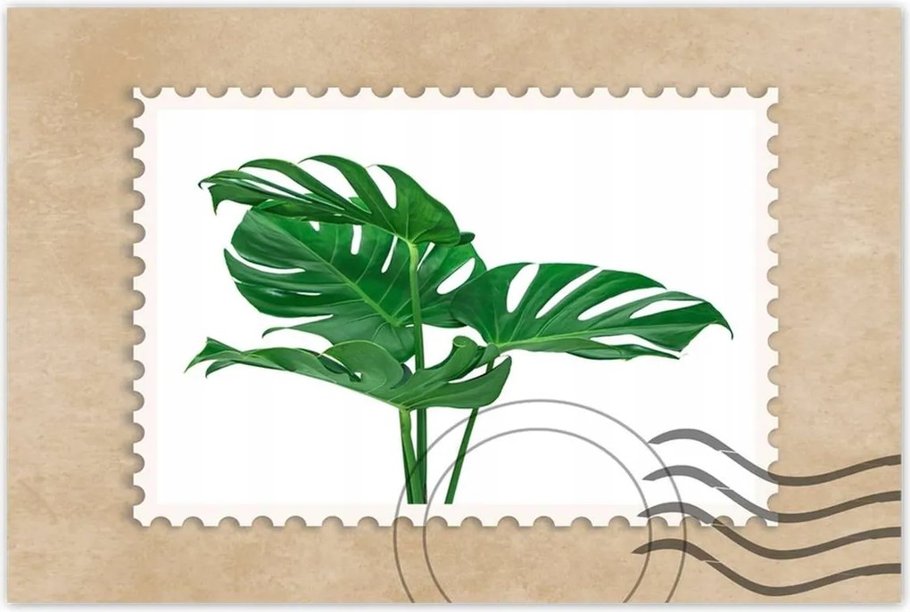 Poszter 60x40 Monstera Lyukas levelek