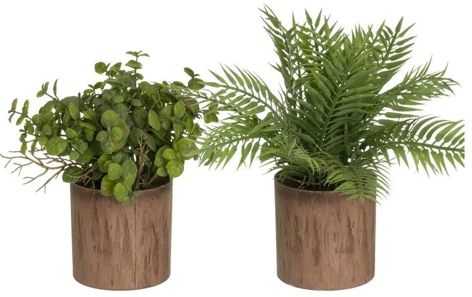 Műnövény szett 2 db-os (magasság 22 cm) – Casa Selección