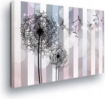 Vászonkép 100x75 Könnyűség Levegő Pitypangok Elillanás Álom Finomság