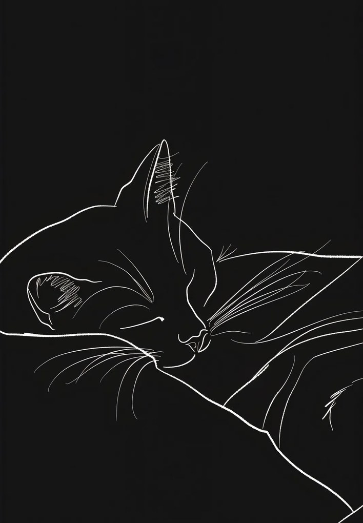 Poszter 68x98cm Éjszakai nyugalom