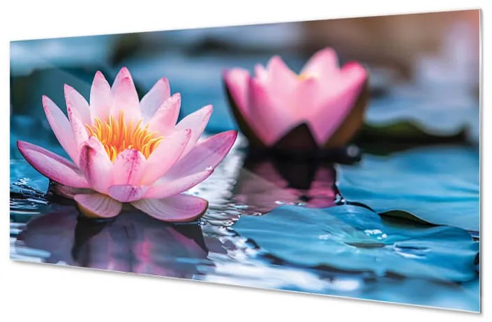 Wallplex konyhahátfal Pink Lotus (Méret: 60x180)