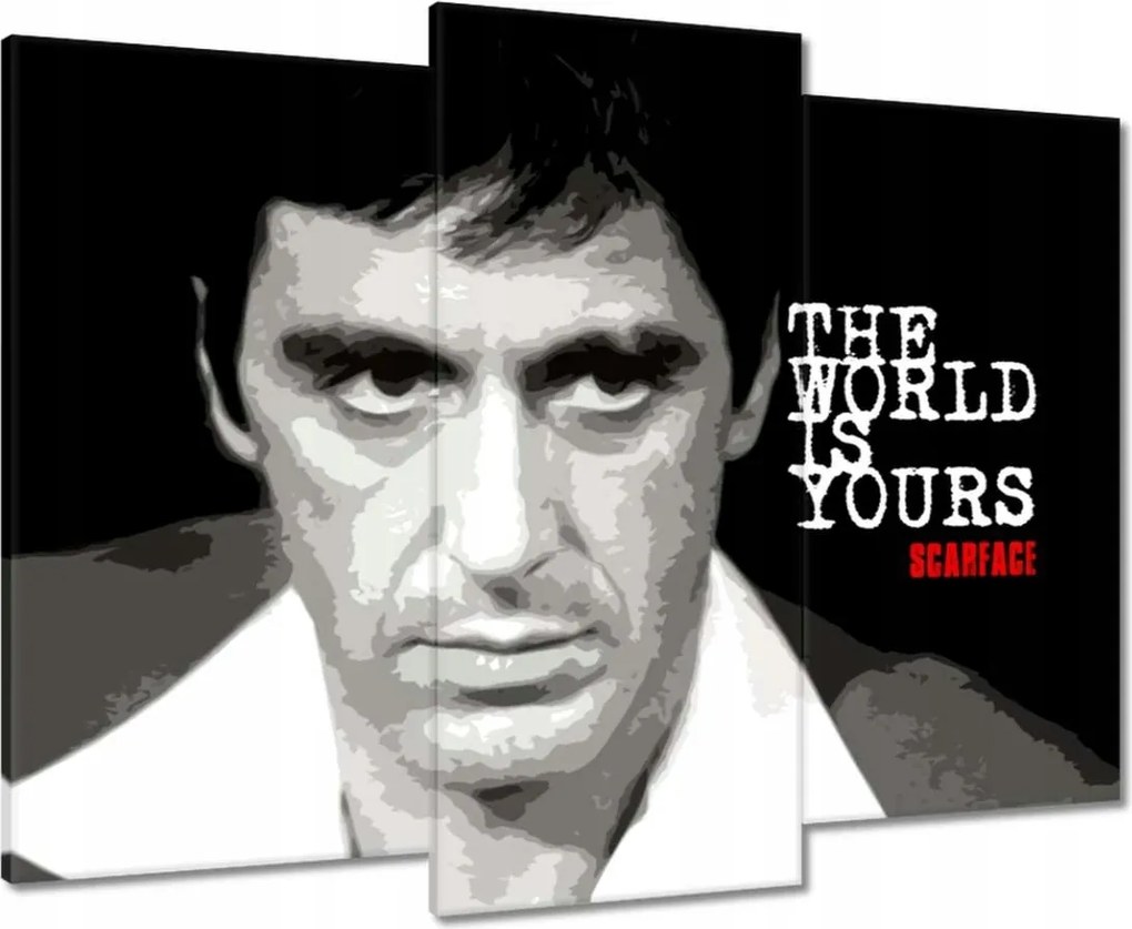 Képek 90x70 A világ a tiéd Pacino