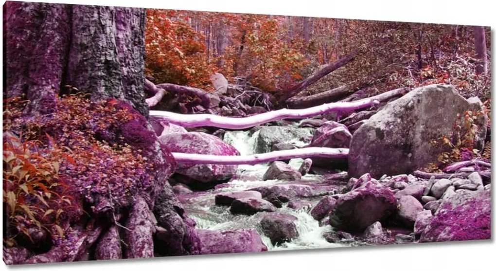 Vászonkép 115x55 Lila zuhatag