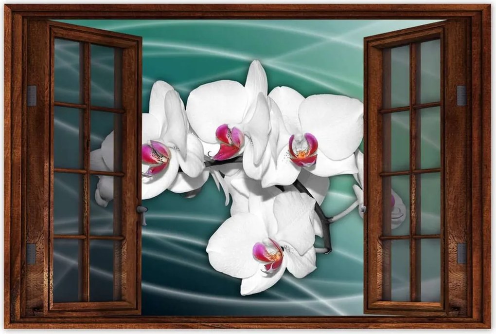 Poszterek 90x60 Orchideák virágok