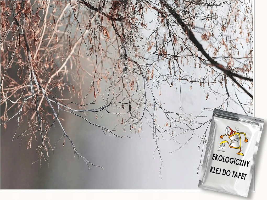 Fotótapéta Ágak Beton Szürke Természet Falra Hálószoba Nappali 150x105