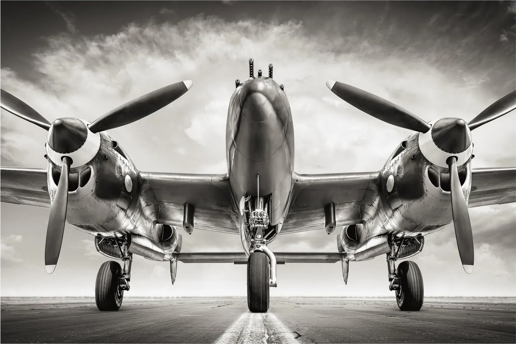 Kép - Warbird (90x60 cm)